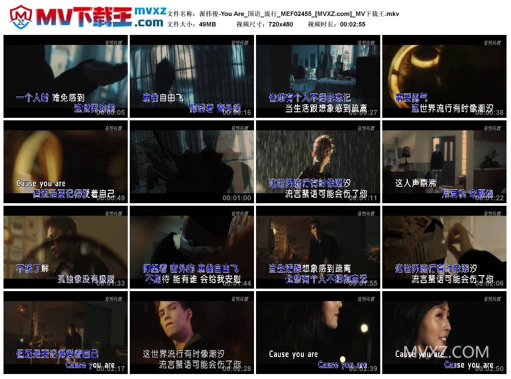 派伟俊-You Are_国语_流行_MEF02455